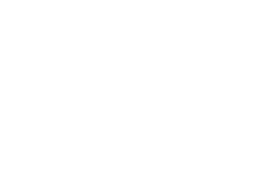 Boe Gin logo